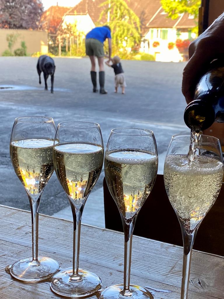 Crémant Brut Millésimé