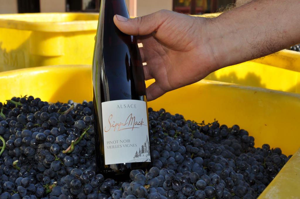 Pinot Noir Vieilles Vignes 2022